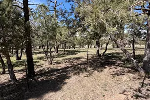 988 Timberland Rd, Show Low, AZ 85901 - Photo 73