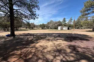 988 Timberland Rd, Show Low, AZ 85901 - Photo 75