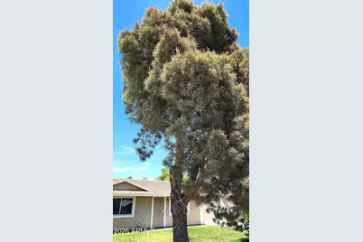3524 E Winchcomb Drive, Phoenix, AZ 85032 - Photo 3