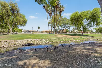 5528 W Harrison Court, Chandler, AZ 85226 - Photo 51