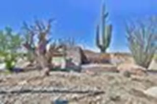 12556 W Cassia Trail, Peoria, AZ 85383 - Photo 31