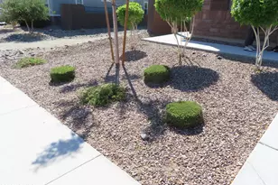 12556 W Cassia Trail, Peoria, AZ 85383 - Photo 3