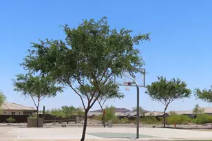 12556 W Cassia Trail, Peoria, AZ 85383 - Photo 25