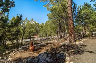 3370 Turkey Run, Overgaard, AZ 85933 - Photo 27