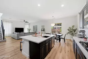 31667 N 131st Ave, Peoria, AZ 85383 - Photo 13