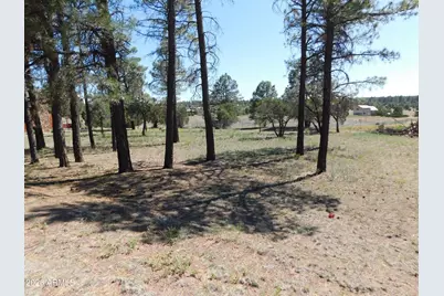 2215 Country Club Drive #12, Overgaard, AZ 85933 - Photo 3