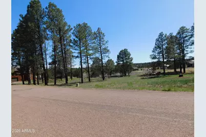 2215 Country Club Drive #12, Overgaard, AZ 85933 - Photo 1