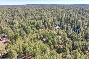 1448 Mineral Dr, Forest Lakes, AZ 85931 - Photo 21