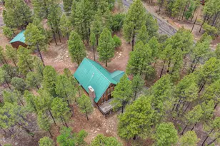 3009 Starlight Dr, Happy Jack, AZ 86024 - Photo 31