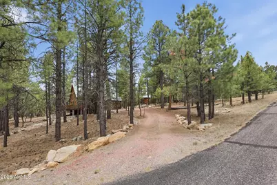 3009 Starlight Drive, Happy Jack, AZ 86024 - Photo 25