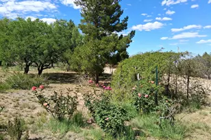 4510 E Wickersham Rd, Hereford, AZ 85615 - Photo 47
