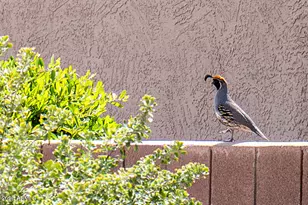 15441 W Encantada Dr, Surprise, AZ 85374 - Photo 29