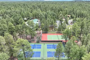 3845 Turkey Track Rd, Pinetop, AZ 85935 - Photo 37