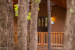 3845 Turkey Track Rd, Pinetop, AZ 85935 - Photo 3