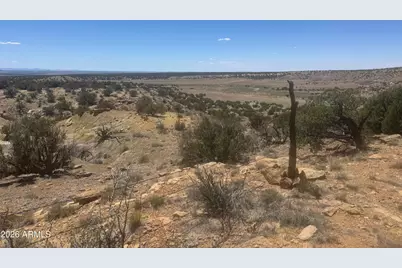 Lot 679 Woodland Valley Ranch -- #679, Saint Johns, AZ 85936 - Photo 21
