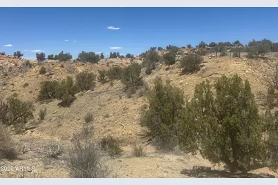 Lot 679 Woodland Valley Ranch -- #679, Saint Johns, AZ 85936 - Photo 23