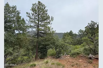 161 N Portal Drive #161, Pine, AZ 85544 - Photo 9