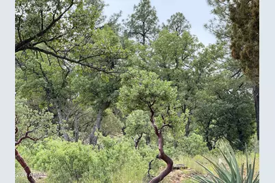 161 N Portal Drive #161, Pine, AZ 85544 - Photo 3