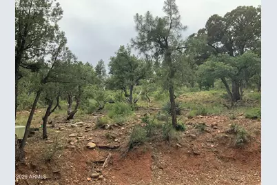 161 N Portal Drive #161, Pine, AZ 85544 - Photo 5