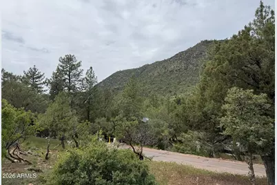 161 N Portal Drive #161, Pine, AZ 85544 - Photo 9