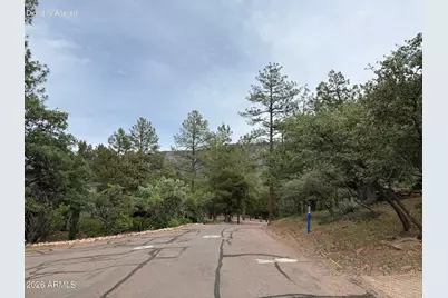 161 N Portal Drive #161, Pine, AZ 85544 - Photo 11