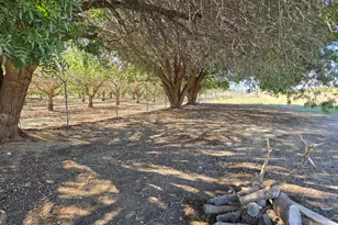 69828 Hwy 60 --, Salome, AZ 85348 - Photo 15