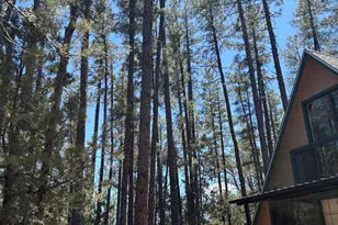 257 E Tall Trees Ave, Payson, AZ 85541 - Photo 3