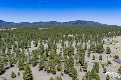 10500 Dianna Place, Flagstaff, AZ 86004 - Photo 45