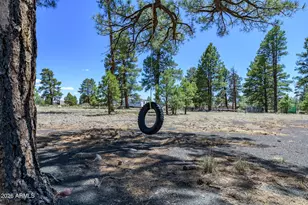 10500 Dianna Pl, Flagstaff, AZ 86004 - Photo 7