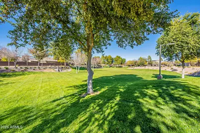 1490 W Birch Road, Queen Creek, AZ 85140 - Photo 55
