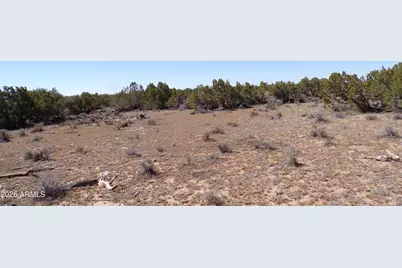 0 Ranch Road #-, Sanders, AZ 86512 - Photo 19