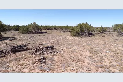 0 Ranch Road #-, Sanders, AZ 86512 - Photo 13