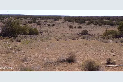 0 Ranch Road #-, Sanders, AZ 86512 - Photo 7