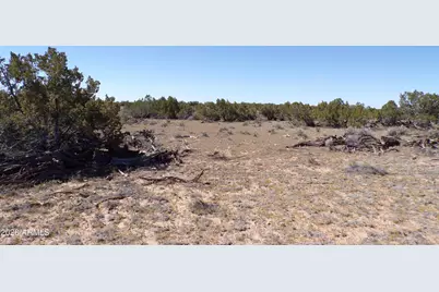 0 Ranch Road #-, Sanders, AZ 86512 - Photo 5