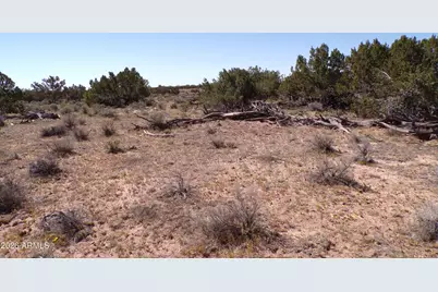 0 Ranch Road #-, Sanders, AZ 86512 - Photo 23