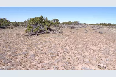 0 Ranch Road #-, Sanders, AZ 86512 - Photo 11