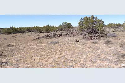 0 Ranch Road #-, Sanders, AZ 86512 - Photo 15