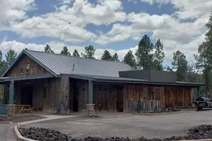 3120 W Black Oak Loop, Show Low, AZ 85901 - Photo 43