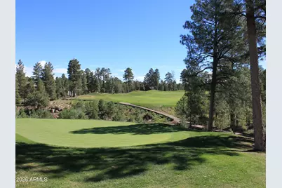 3120 W Black Oak Loop, Show Low, AZ 85901 - Photo 53