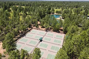 3120 W Black Oak Loop, Show Low, AZ 85901 - Photo 47