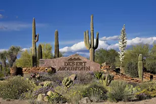 40635 N 109th Pl, Scottsdale, AZ 85262 - Photo 49