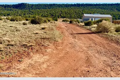 85 Co Rd 8500 Acres -- #-, Concho, AZ 85924 - Photo 5