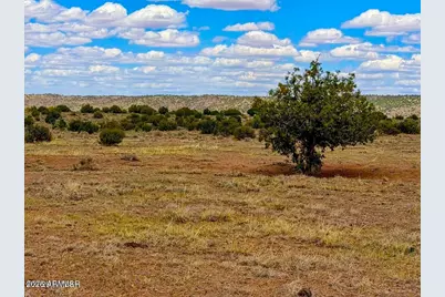 85 Co Rd 8500 Acres -- #-, Concho, AZ 85924 - Photo 23