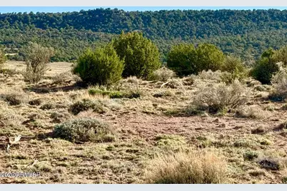 85 Co Rd 8500 Acres -- #-, Concho, AZ 85924 - Photo 1