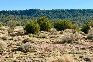 85 Co Rd 8500 Acres --, Concho, AZ 85924 - Photo 1