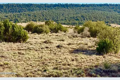 85 Co Rd 8500 Acres -- #-, Concho, AZ 85924 - Photo 3