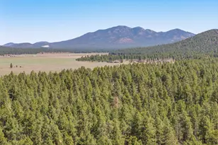 5641 E Garland Prairie Rd, Williams, AZ 86046 - Photo 17
