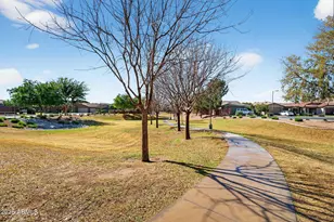 950 W Sisso Tree Ave, San Tan Valley, AZ 85140 - Photo 53