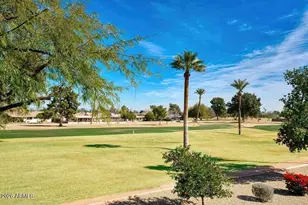 9807 W Mockingbird Dr, Sun City, AZ 85373 - Photo 41