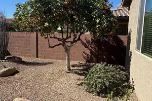 135 W Yellow Wood Ave, San Tan Valley, AZ 85140 - Photo 5